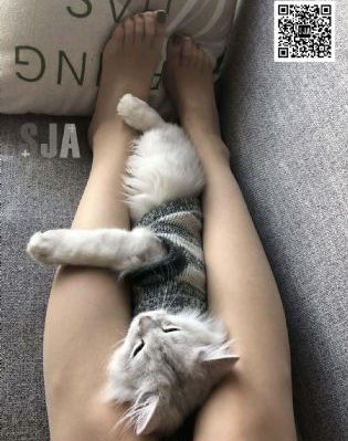 国产精品久久久久久久久www_BD电影完整版